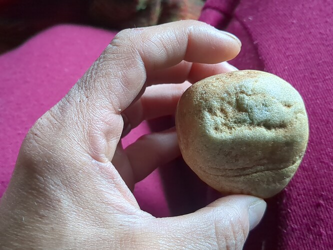 IMG_20250913_083343_282