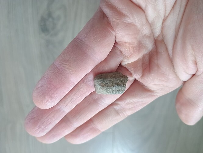 IMG_20260220_091751709