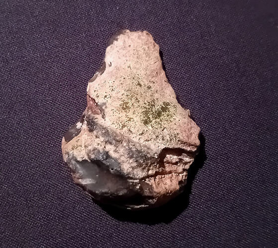 2.Dorsal