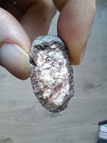 IMG_20251219_125632993