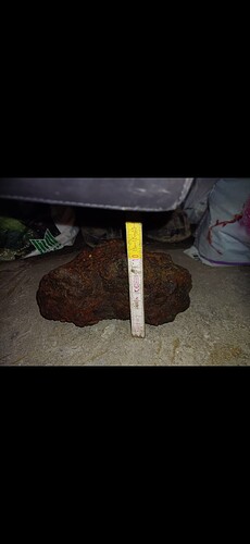 Screenshot_20250829_051449_Gallery