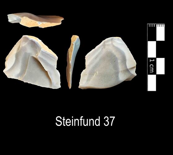 Steinfund 37