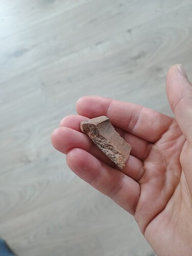 IMG_20251015_103035285