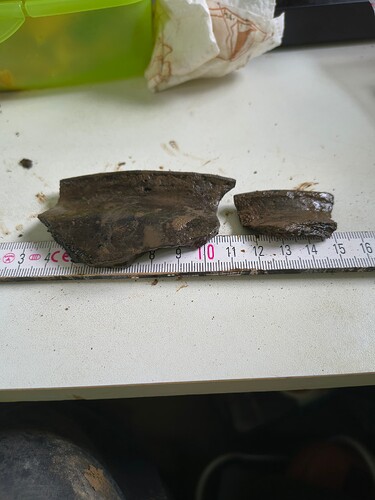 IMG_20260223_114816381_HDR