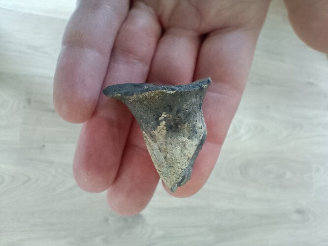 IMG_20250401_110107838