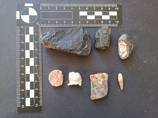 IMG_20260103_143255551_HDR~2