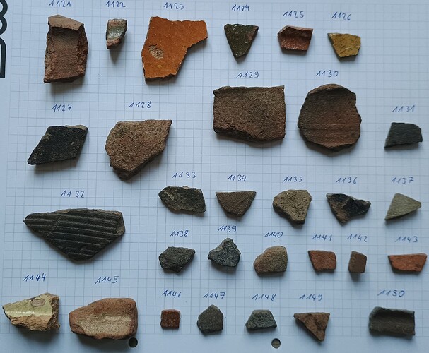 IMG_20251015_083008305~2