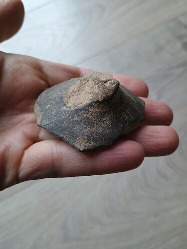 IMG_20250316_105712146