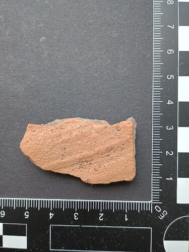 IMG_20240513_152918113_HDR