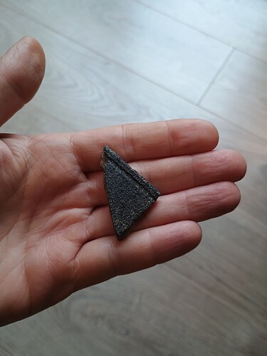 IMG_20241121_093559029