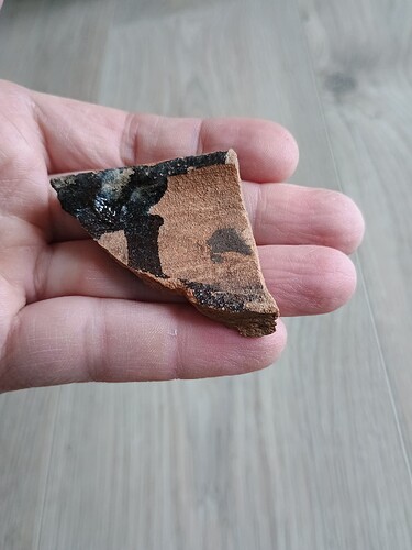 IMG_20250227_130144797