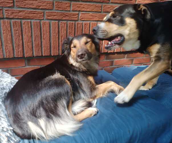 IMG-20240723-WA0023
