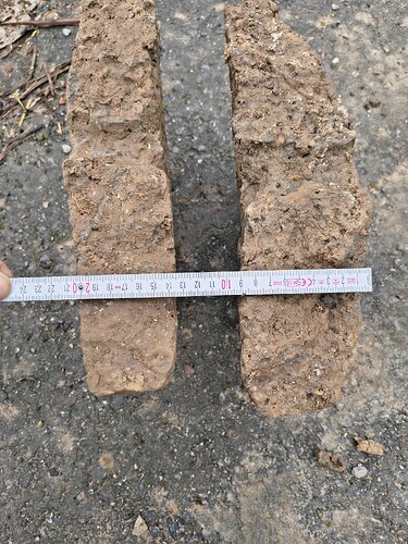 IMG_20260218_132138551_HDR