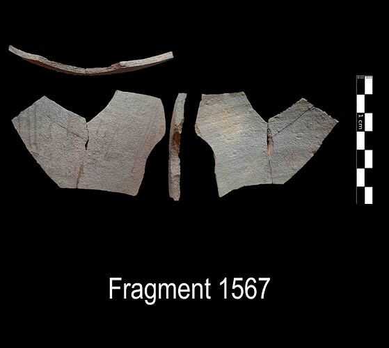 Fragment 1567
