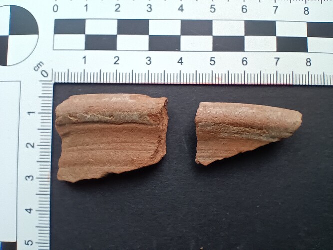 IMG_20250603_101516655~2