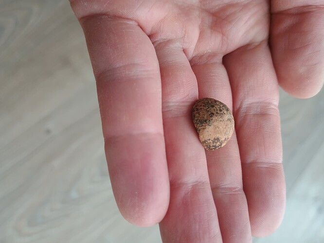 IMG_20250328_105551053