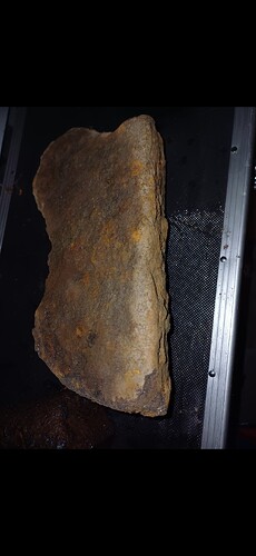 Screenshot_20250829_173419_Gallery