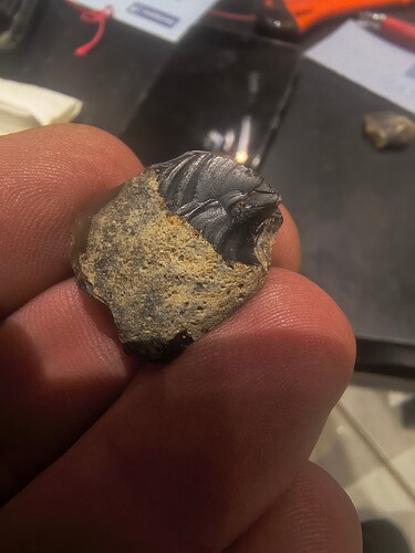 IMG_20260220_205726667_HDR