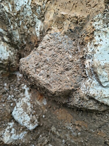 IMG_20260211_093733417_HDR