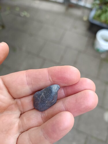 IMG_20250811_120503 (1)