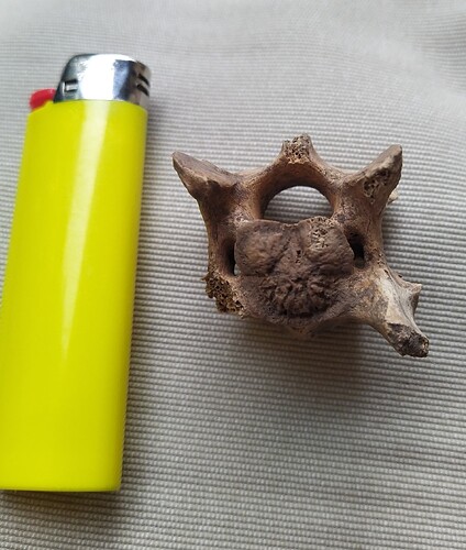 IMG_20250707_141852~2