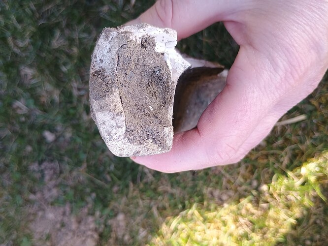 IMG_20260306_155956706