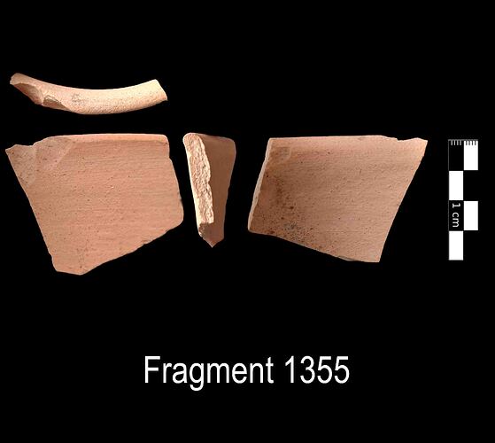 Fragment 1355
