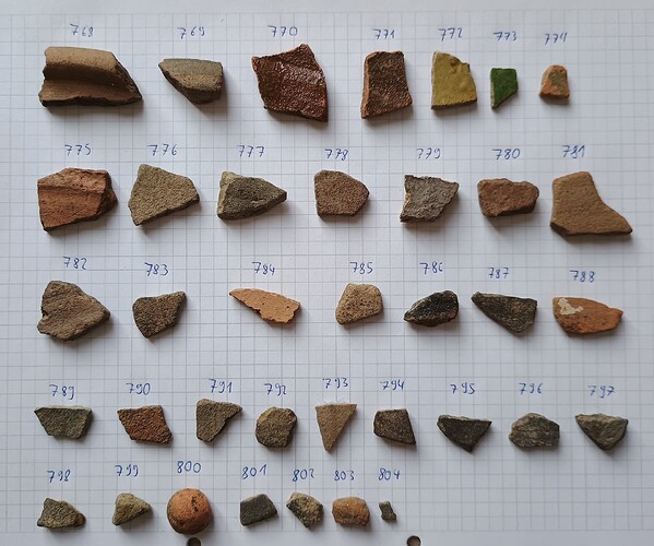 IMG_20250328_081417535~2