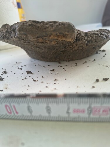 IMG_20260304_132559645_HDR