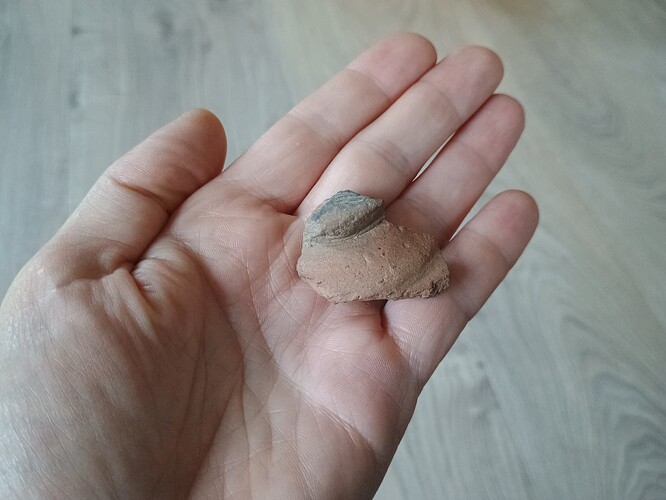 IMG_20251120_090403751