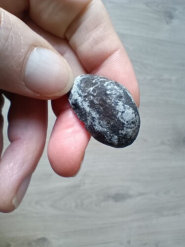 IMG_20251219_125702663