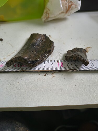 IMG_20260223_114757767