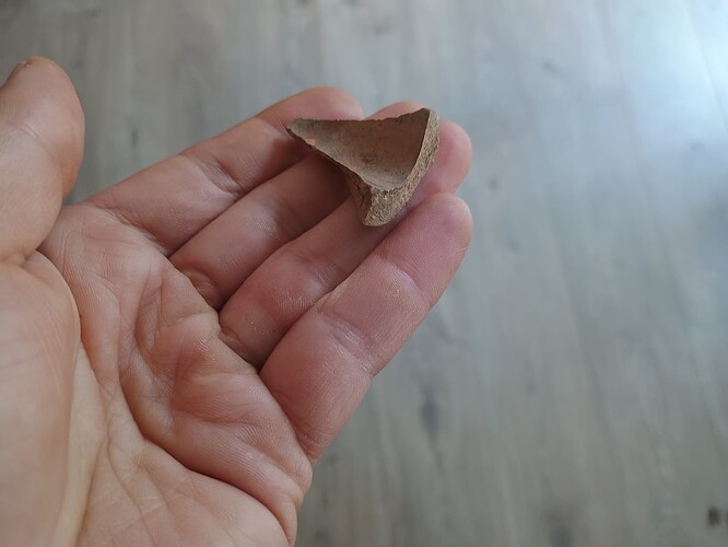 IMG_20250718_112431636