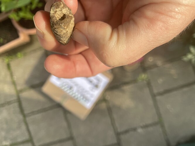 Rand_weich_oben_110725_MH_o_li