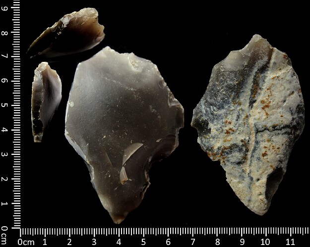 Retusche an Stichel an Frostsprung