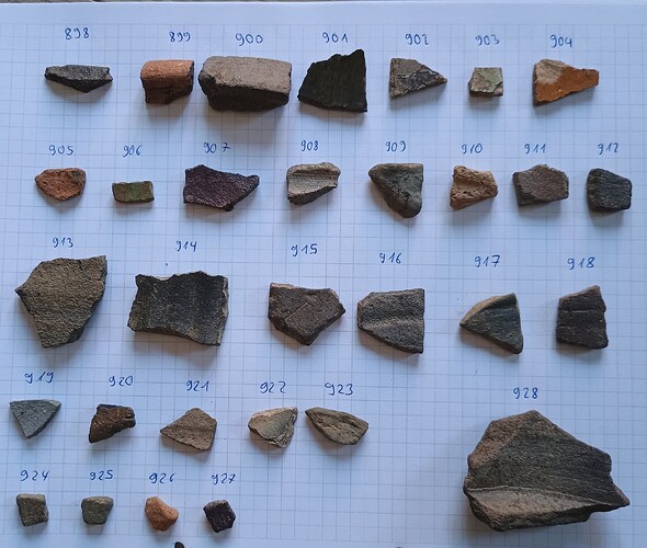 IMG_20250702_081213589~2