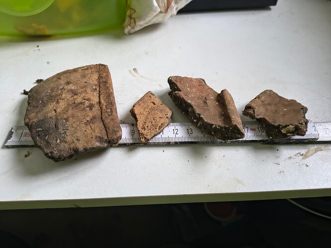 IMG_20260223_113221623_HDR