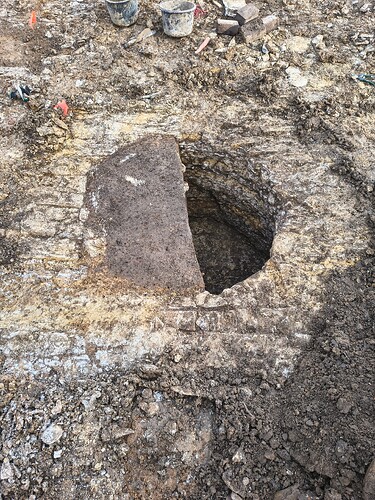 IMG_20260206_114351268_HDR