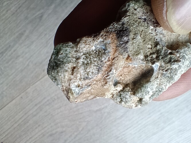 IMG_20251229_130413715