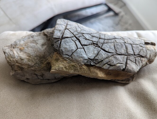 PXL_20260228_132623852