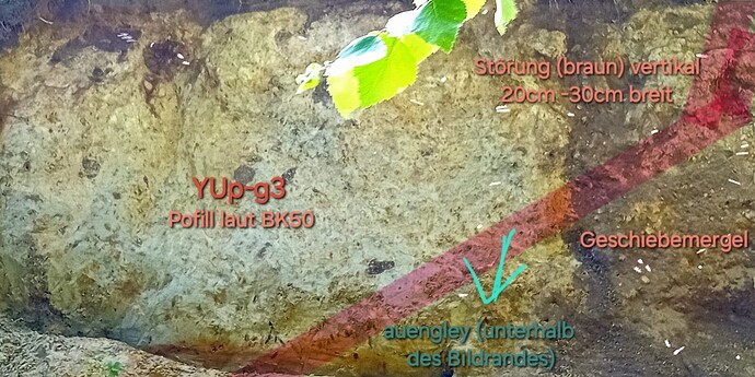 IMG-20250612-WA0002