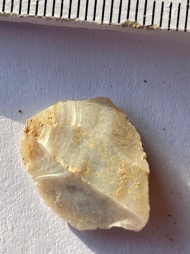 IMG-20250322-WA0056