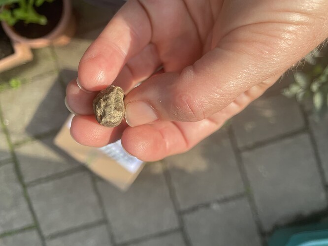 Rand_weich_profil_2_110725_MH_o_li