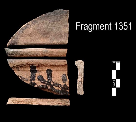 Fragment 1351