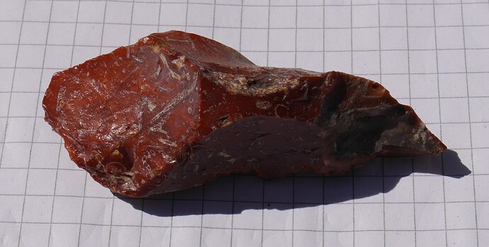 A_Bohrer_Bryozenflint_Meinen_Edewecht_19__