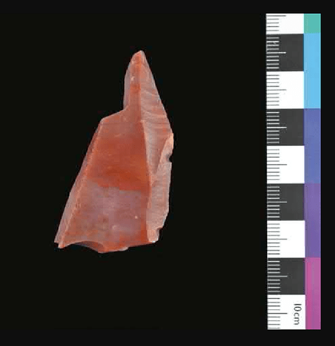 Klingenfragment_Fundstelle_Edewecht_82-Ost_Artefakt_aus_rotem_Helgoländer_Flint_Foto_Jürgen_Schneider_u._Thomas_Terberger_2020_The_site_of_Edewecht_82-East_S._8_Fig.10_mit_freundlicher_Genehmigung_CC_BY-NC-SA_4.0