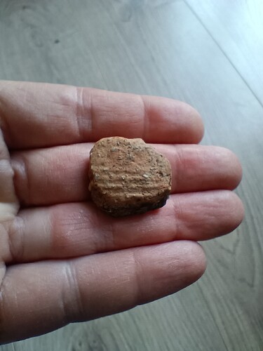 IMG_20250311_080636617