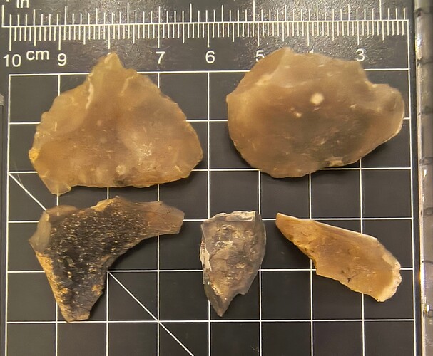 IMG_20260213_211927995_HDR