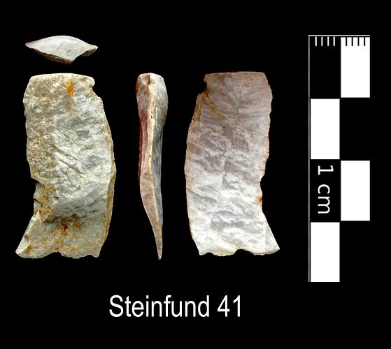 Steinfund 41