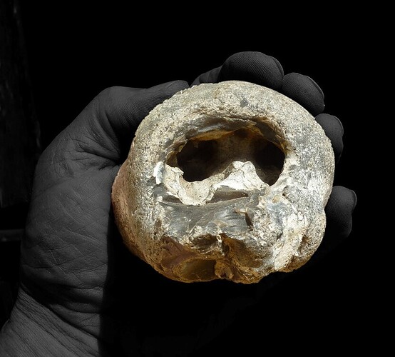 b6562bd1ca47d5e4dccdc9ee6154c6cf760c13f5_2_831x750